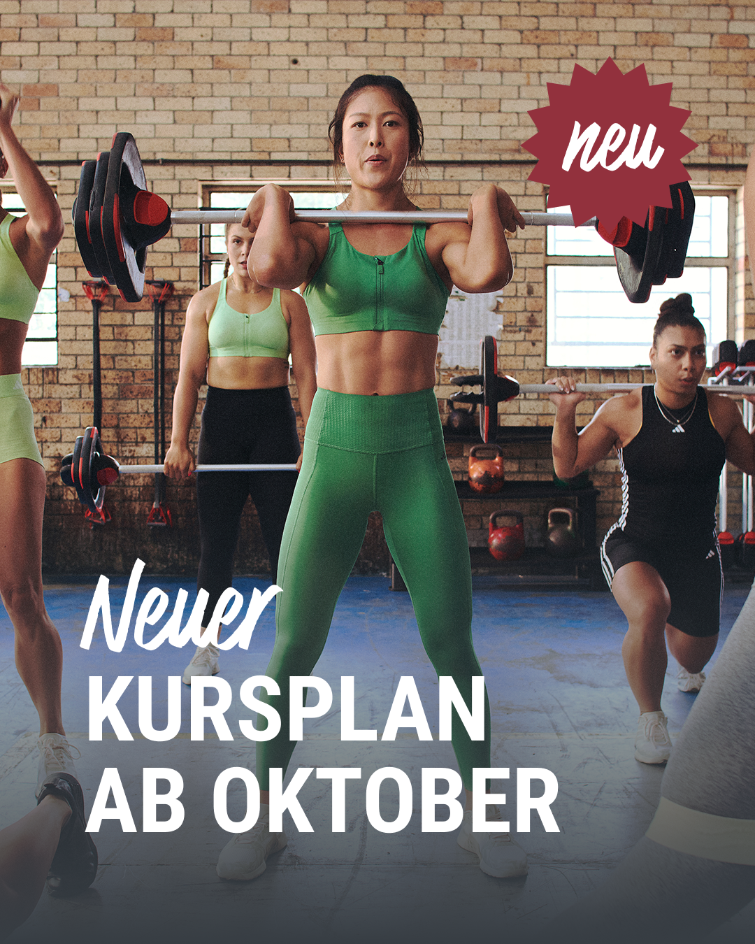 Neuer Kursplan
